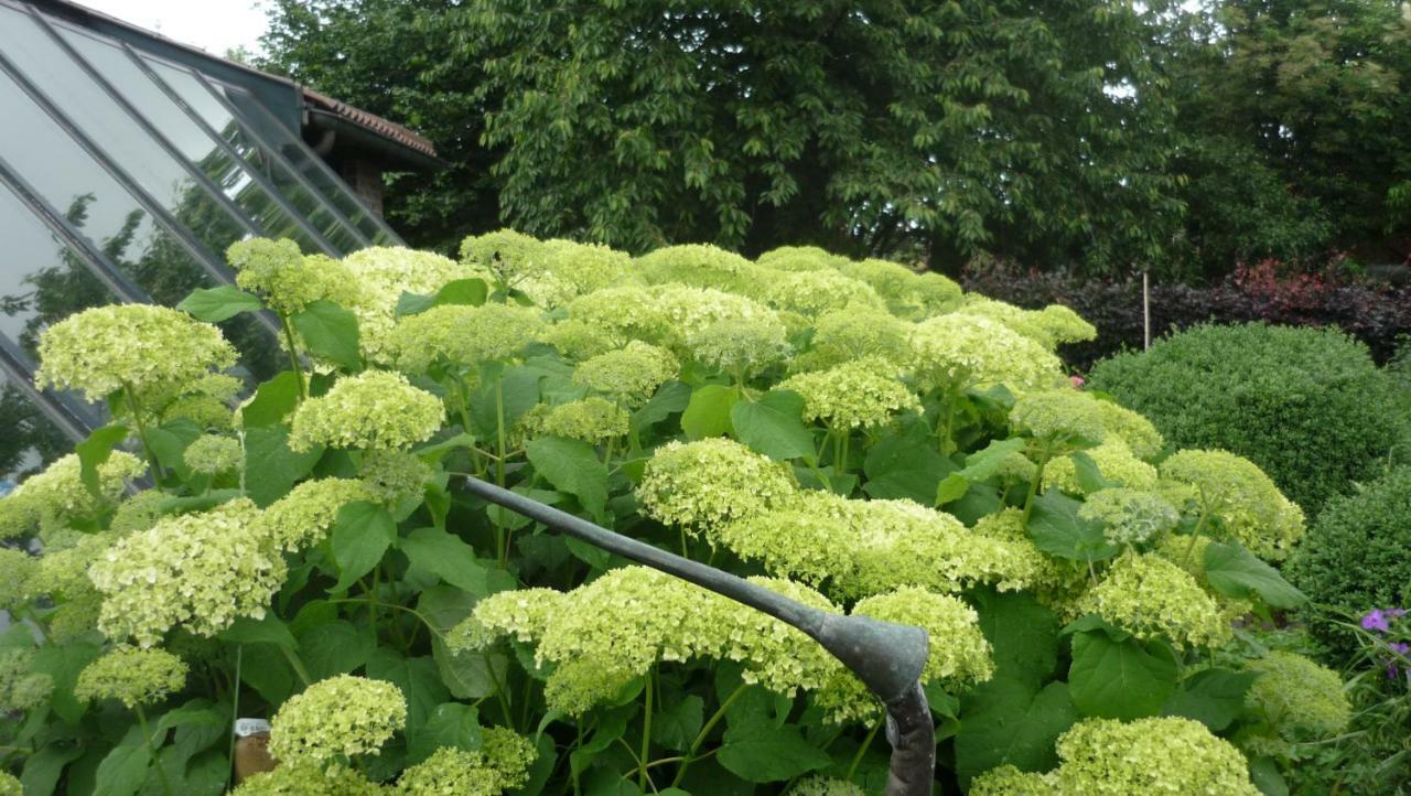 De Rosmolen Villa Ertvelde Ngoại thất bức ảnh